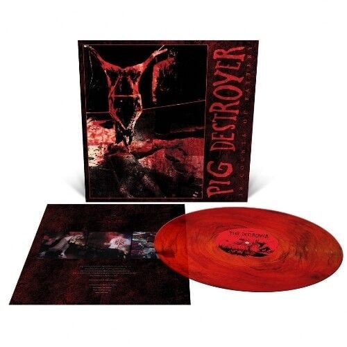 Pig Destroyer - 38 Counts Of Battery - LP COLOURED 17 EYLÜL 2026 DA KARGO
