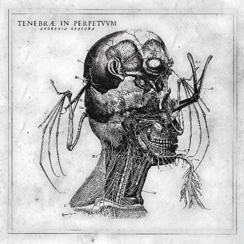 Tenebrae In Perpetuum - Anorexia Obscura - CD DIGIPAK 17 TEMMUZ 2026 DA KARGO