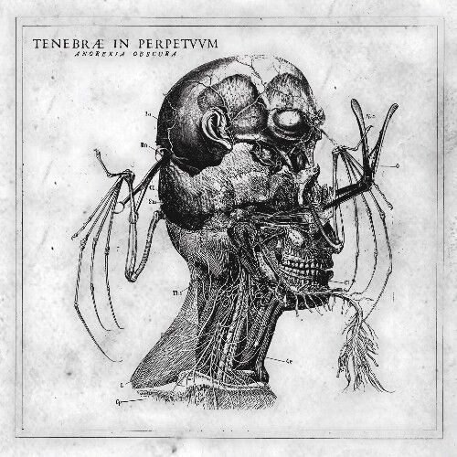 Tenebrae In Perpetuum - Anorexia Obscura - CD DIGIPAK 17 EKİM 2026 DA KARGO