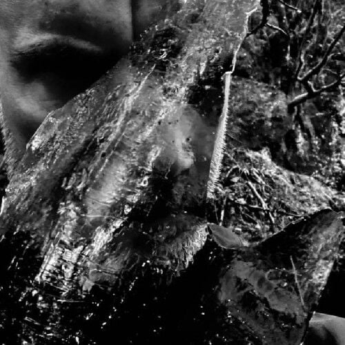 Taake - En Skog Av Nidstang - LP Gatefold Coloured PRE ORDER 31 July 2026