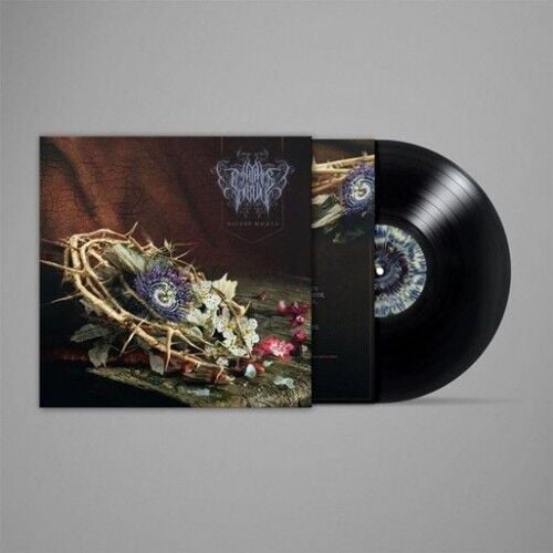 Pénitence Onirique - Nature Morte - LP 11 KASIM 2025 TE KARGO