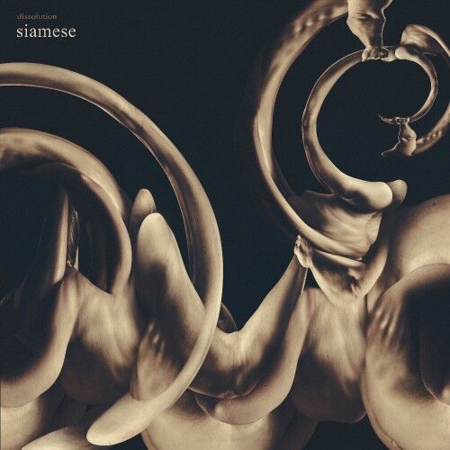 Siamese - Dissolution - LP 17 EYLÜL 2026'DA KARGO