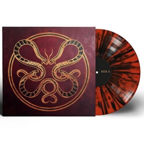 Vicious Rain - The Anatomy - LP 17 EYLÜL 2026'DA KARGO