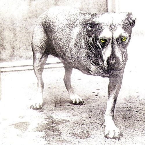 Alice In Chains - Alice In Chains - CD 15 MAYIS 2026 DA KARGO