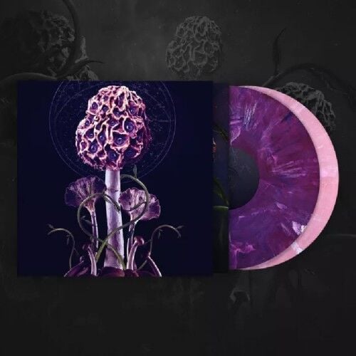 Blut Aus Nord - Hallucinogen - Double LP gatefold coloured Slipcase 17 EYLÜL 2026'DA KARGO