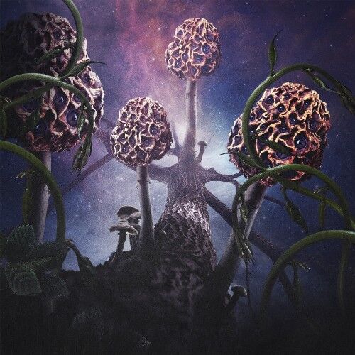Blut Aus Nord - Hallucinogen - Double LP gatefold coloured Slipcase 15 MAYIS 2026 DA KARGO