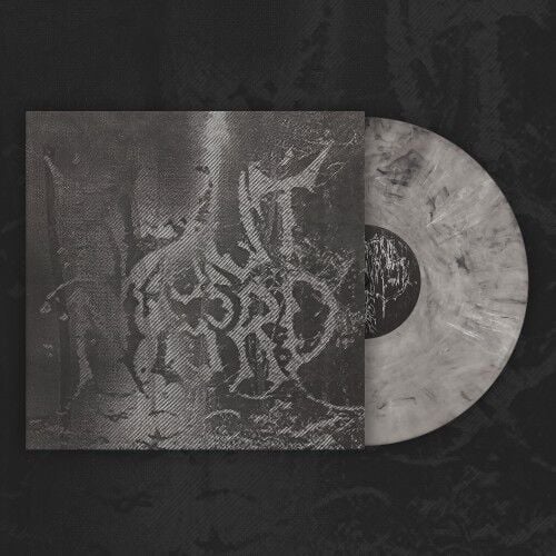 Blut Aus Nord - The Work Which Transforms God - LP COLOURED 15 MAYIS 2026 DA KARGO