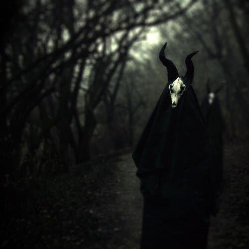 White Ward - Futility Report - CD DIGIPAK 15 MAYIS 2026 DA KARGO